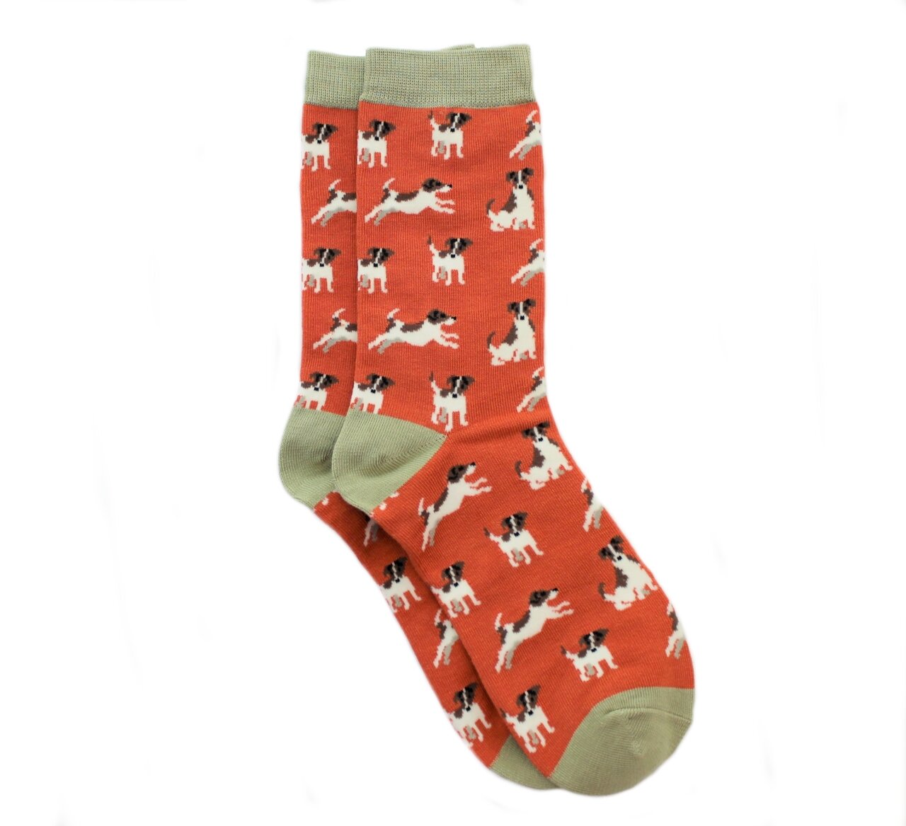 Jack russells fatfig co uk