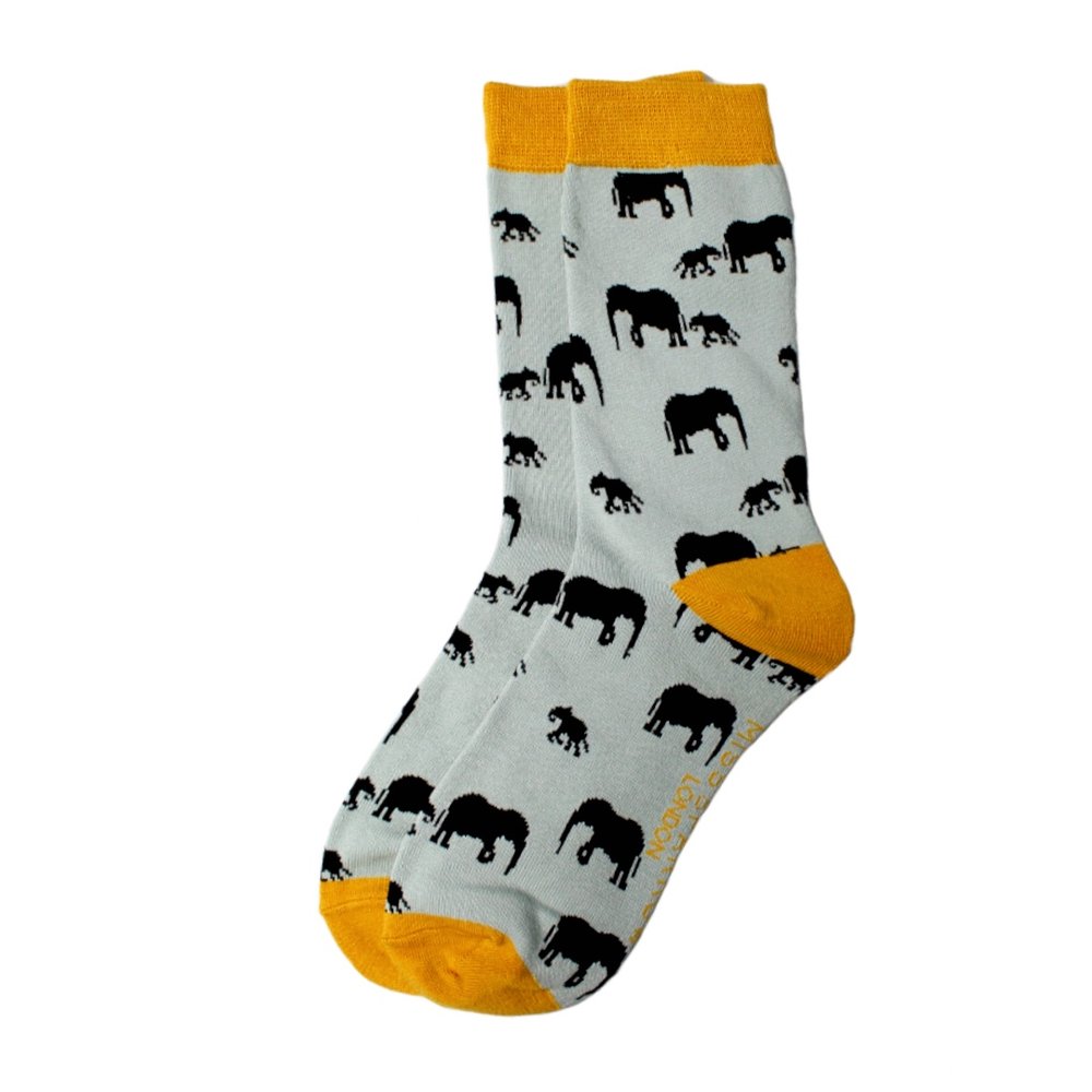 Miss mini elephants fatfig co uk